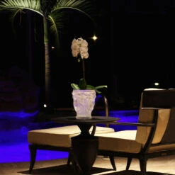 Lalique Bacchantes XXL 13.5" Vase, Clear, Limited Edition -Baccarat shop 10119500 lq bacchantes fl2B1200