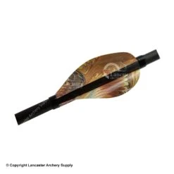 Kurly Vanes -Baccarat shop 1090001 autunm