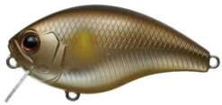Evergreen International CH-1 Waking Crankbait -Baccarat shop Ayu a3f83c93 32e2 44fc 9ac7 d61fadd3fe89