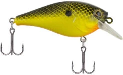 Berkley SquareBull 2 3/8 Inch Shallow Squarebill Crankbait -Baccarat shop Berkley SquareBull Black Chartreuse 2017 alt2 2000