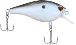 Berkley SquareBull 2 3/8 Inch Shallow Squarebill Crankbait -Baccarat shop Berkley Squarebull BlueShad 55 alt2 2000