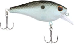 Berkley SquareBull 2 3/8 Inch Shallow Squarebill Crankbait -Baccarat shop Berkley Squarebull GreenShad 35 alt2 2000