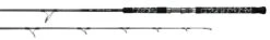 Baccarat shop -Baccarat shop Proteus WINN PRWNC76HFS spinning rod
