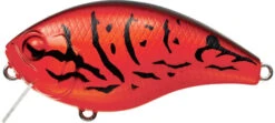 Evergreen International CH-1 Waking Crankbait -Baccarat shop evergreen CH 1 064 firecraw