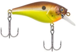 Berkley SquareBull 2 3/8 Inch Shallow Squarebill Crankbait -Baccarat shop squarebull brown mustard 81da5849 8ea2 4f4e b46f 0980ead1b2b1