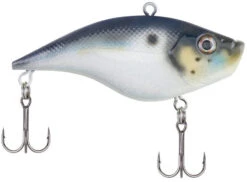 Berkley Warpig Lipless Crankbait -Baccarat shop warpig blue back